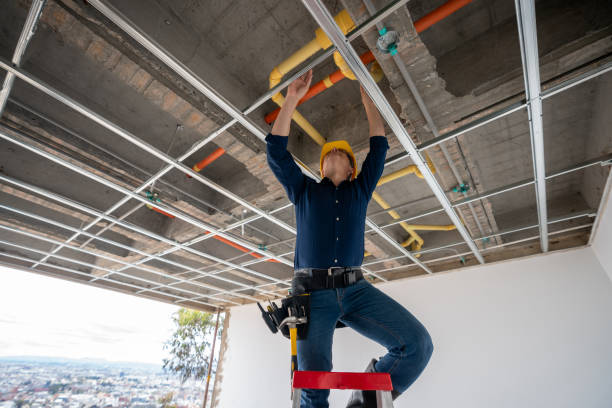 Best Plumbing Services Near Me  in Green Hill, TN